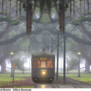 Art print named Streetcar Named Desire.