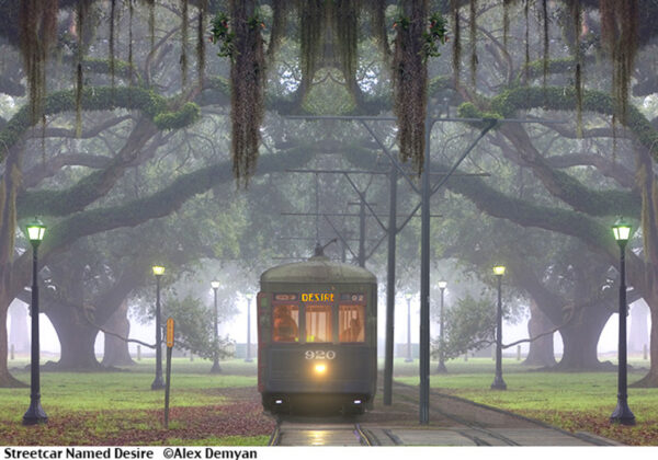 Art print named Streetcar Named Desire.