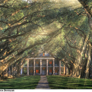 Oak Alley. A mansion in front of dense trees.