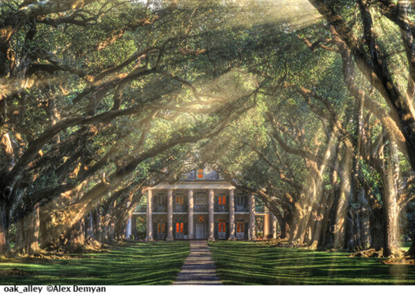 Oak Alley. A mansion in front of dense trees.