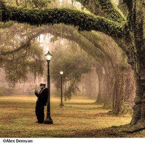 picture print of Audubon Park.