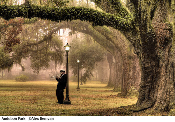 picture print of Audubon Park.