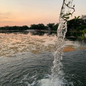 City Park Fountain 2